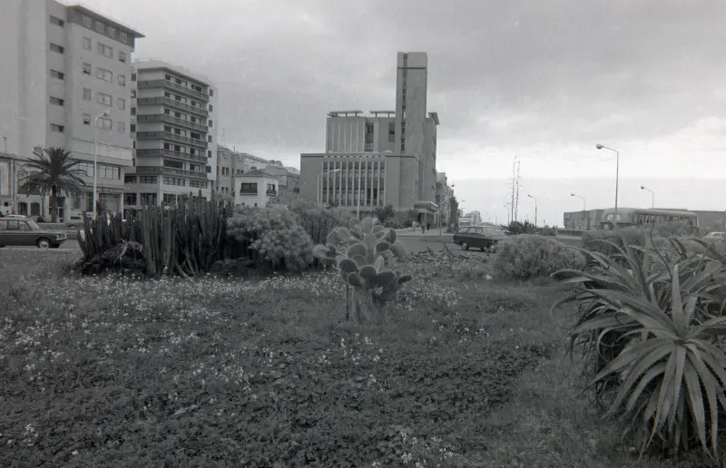 Rotonda de La Constitución